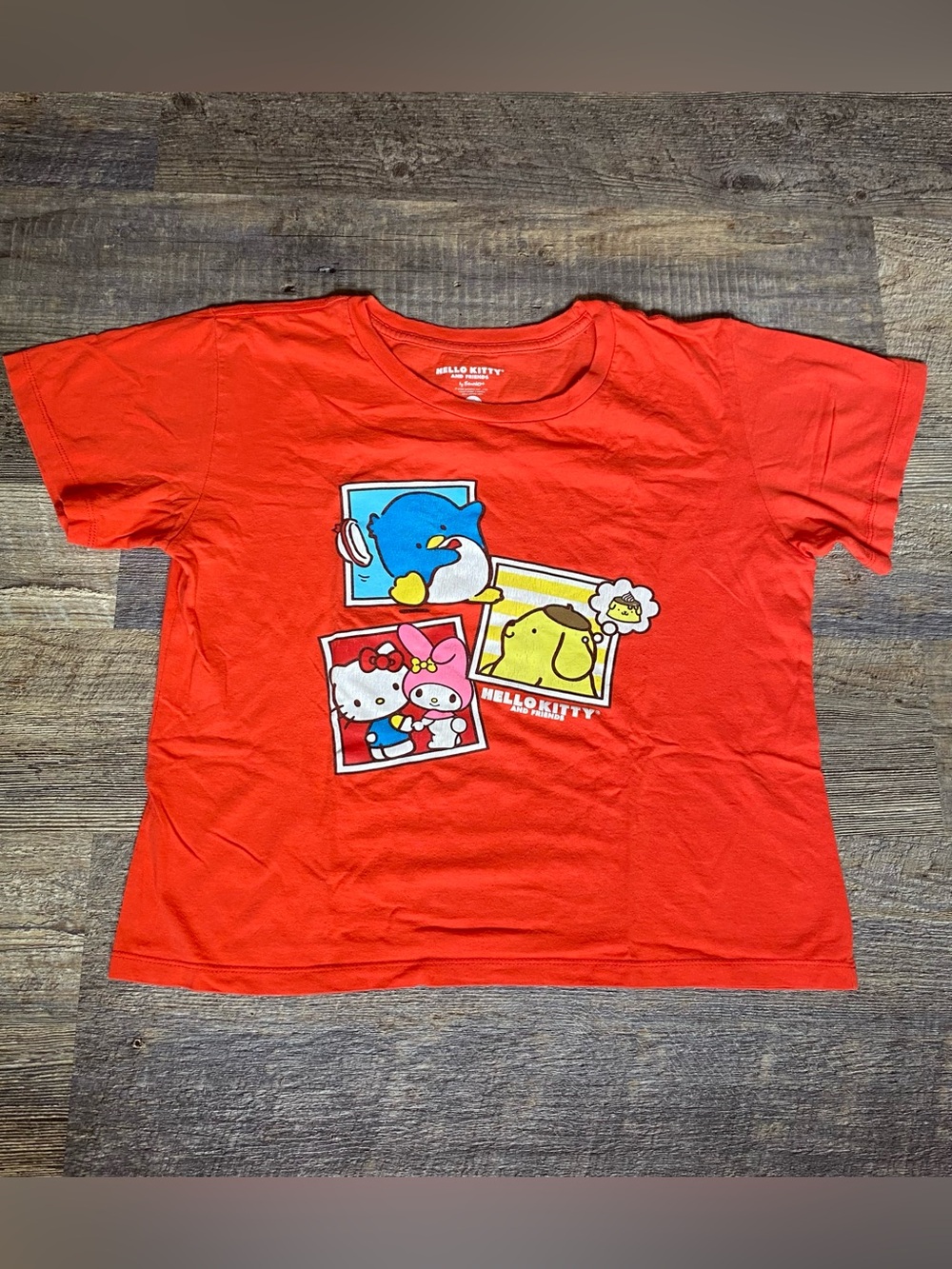 Hello kitty & friends T-shirt